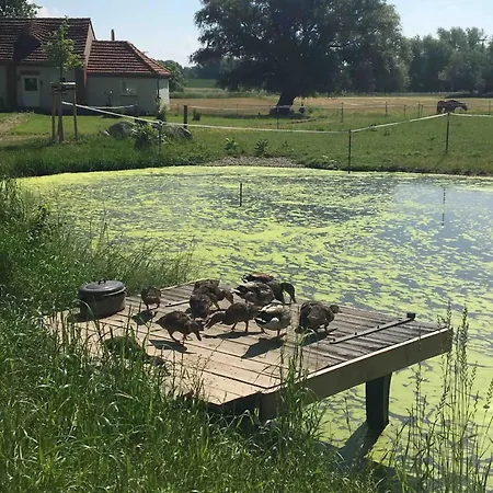 Mcintosh Gross Wokern