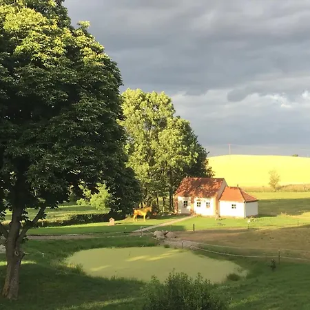 Mcintosh Gross Wokern